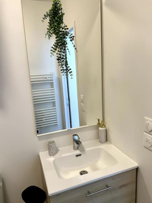 Le Romy Apartment Toulouse Ngoại thất bức ảnh